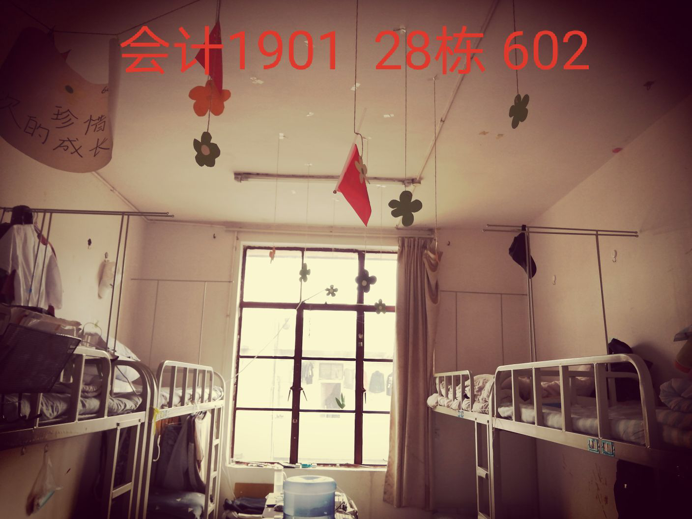 图片3.png 图片3.png