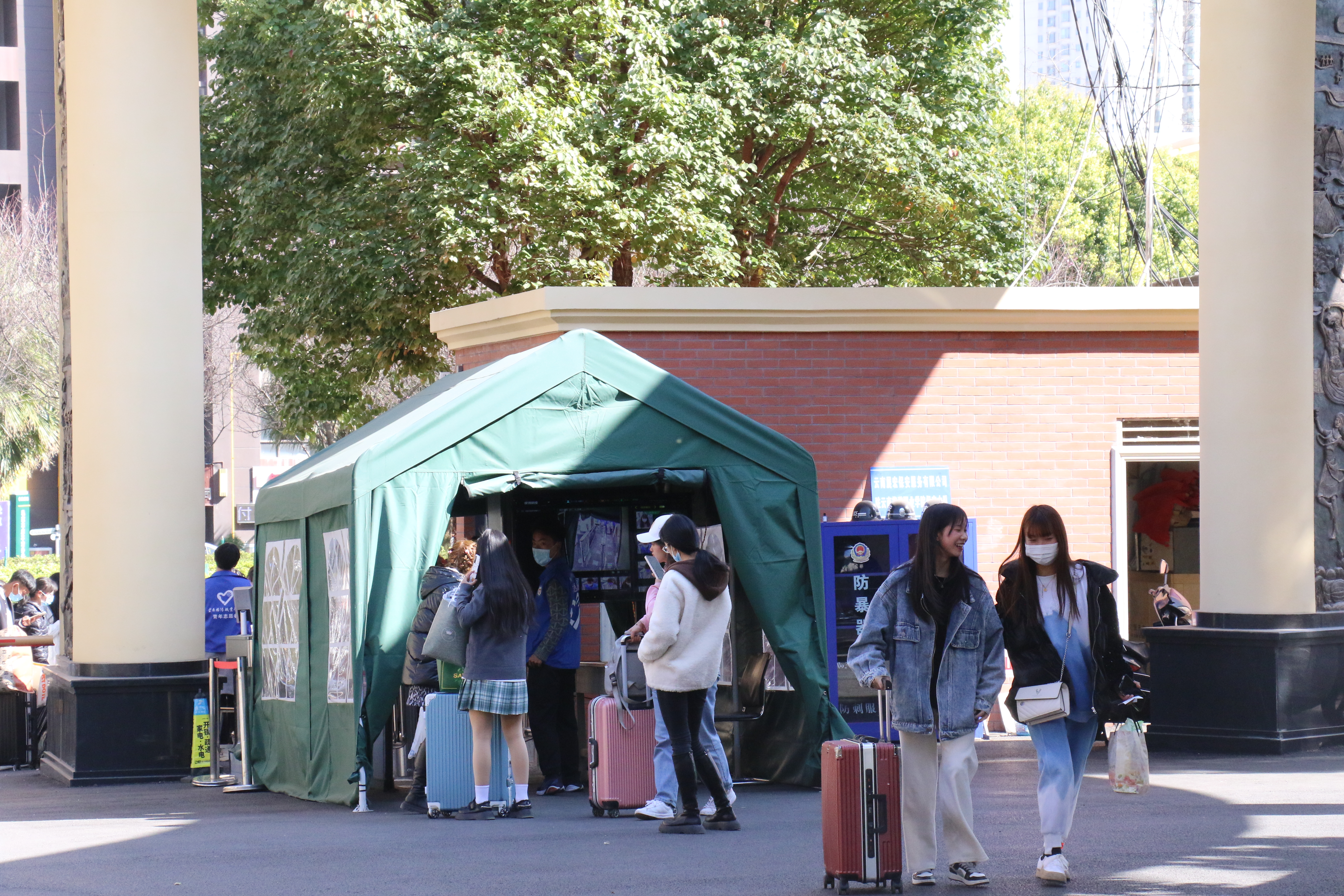 春回校园，学子归来！